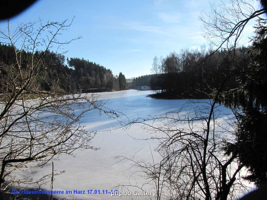 17.01.11 An der Hasselbachsperre-Harz-J.S. (3)