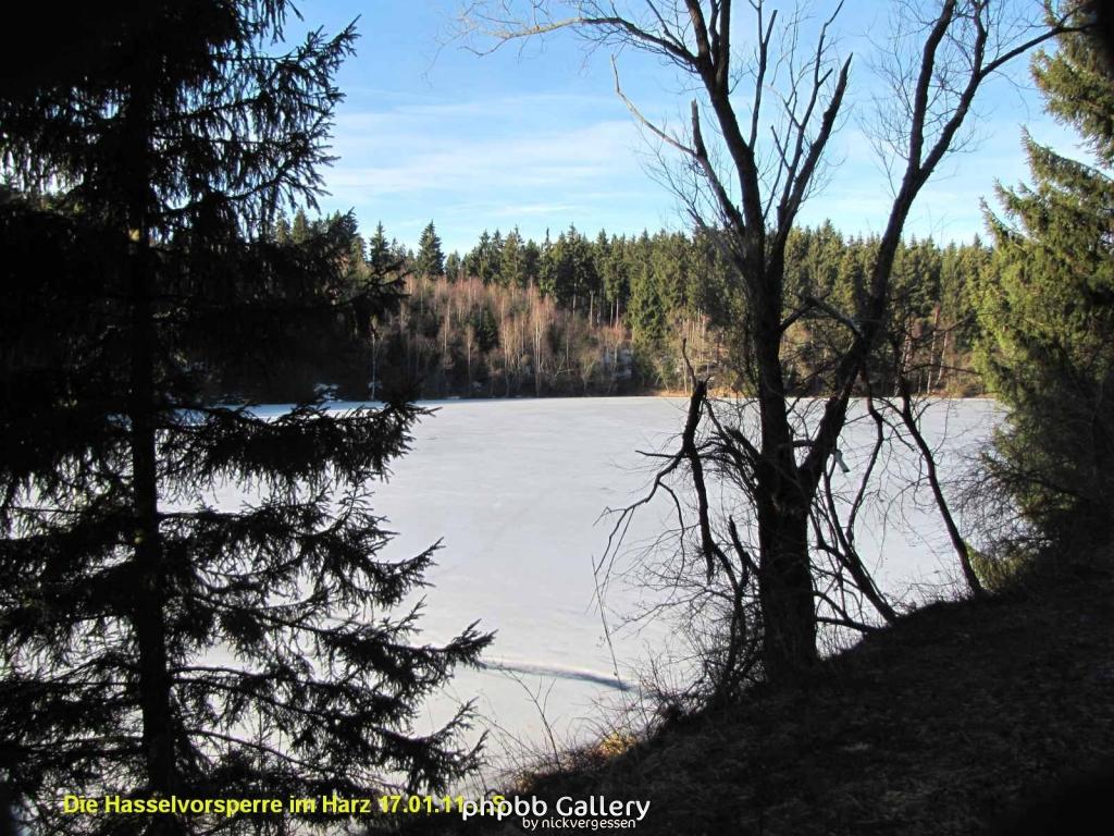 17.01.11 An der Hasselbachsperre-Harz-J.S. (4)