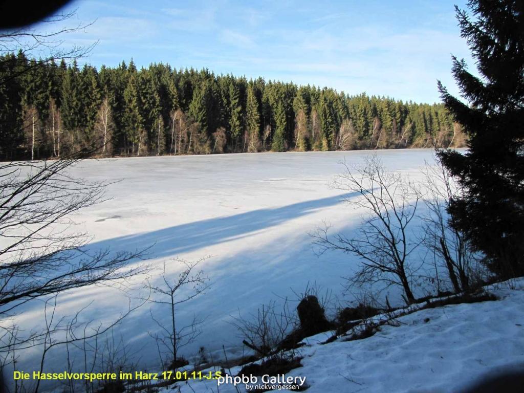 17.01.11 An der Hasselbachsperre-Harz-J.S. (5)