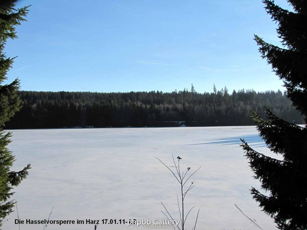 17.01.11 An der Hasselbachsperre-Harz-J.S. (10)
