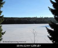 17.01.11 An der Hasselbachsperre-Harz-J.S. (10)