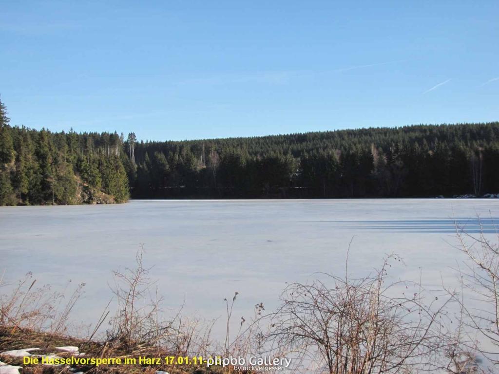 17.01.11 An der Hasselbachsperre-Harz-J.S. (11)
