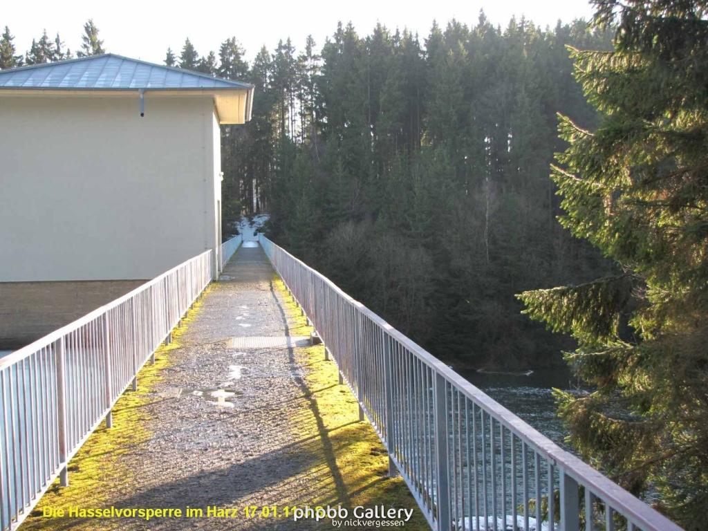 17.01.11 An der Hasselbachsperre-Harz-J.S. (12)
