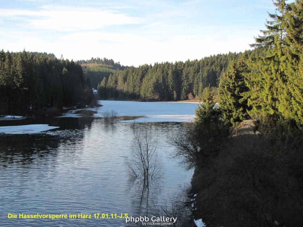 17.01.11 An der Hasselbachsperre-Harz-J.S. (13)