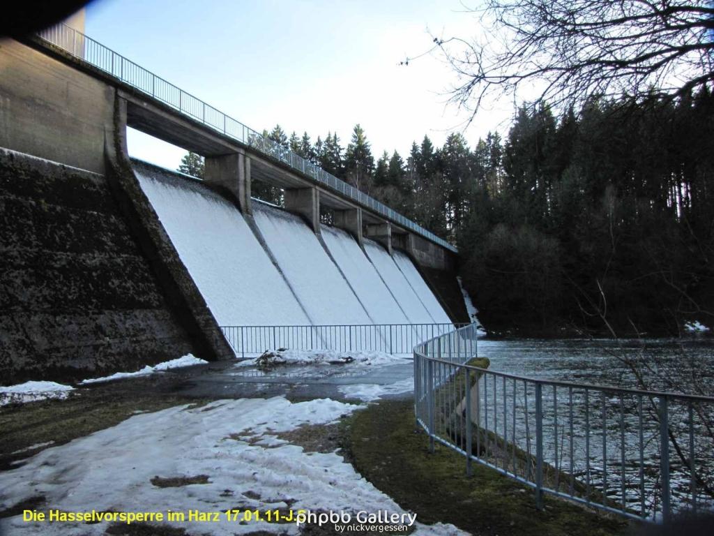 17.01.11 An der Hasselbachsperre-Harz-J.S. (14)