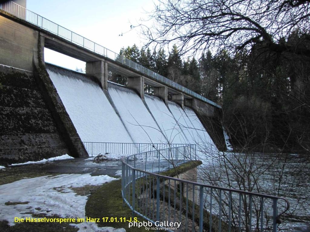 17.01.11 An der Hasselbachsperre-Harz-J.S. (15)