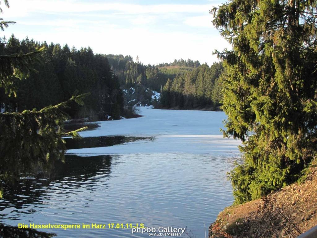 17.01.11 An der Hasselbachsperre-Harz-J.S. (19)
