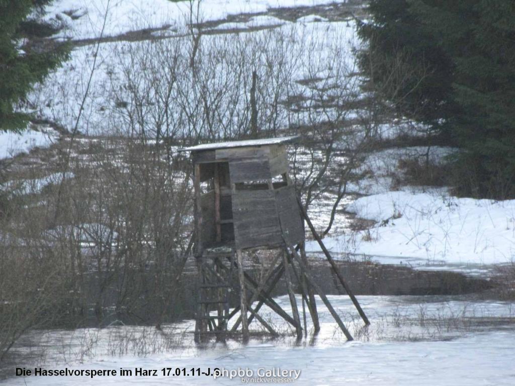 17.01.11 An der Hasselbachsperre-Harz-J.S. (18)