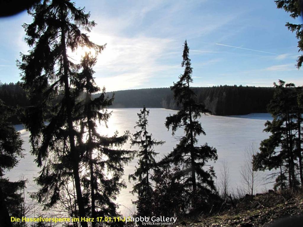 17.01.11 An der Hasselbachsperre-Harz-J.S. (20)