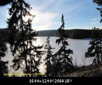 17.01.11 An der Hasselbachsperre-Harz-J.S. (20)