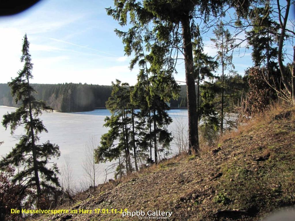 17.01.11 An der Hasselbachsperre-Harz-J.S. (21)