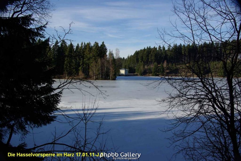 17.01.11 An der Hasselbachsperre-Harz-J.S. (30)