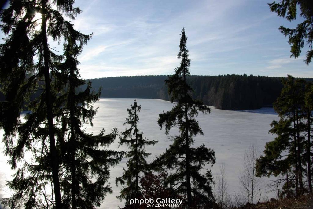 17.01.11 An der Hasselbachsperre-Harz-J.S. (32)
