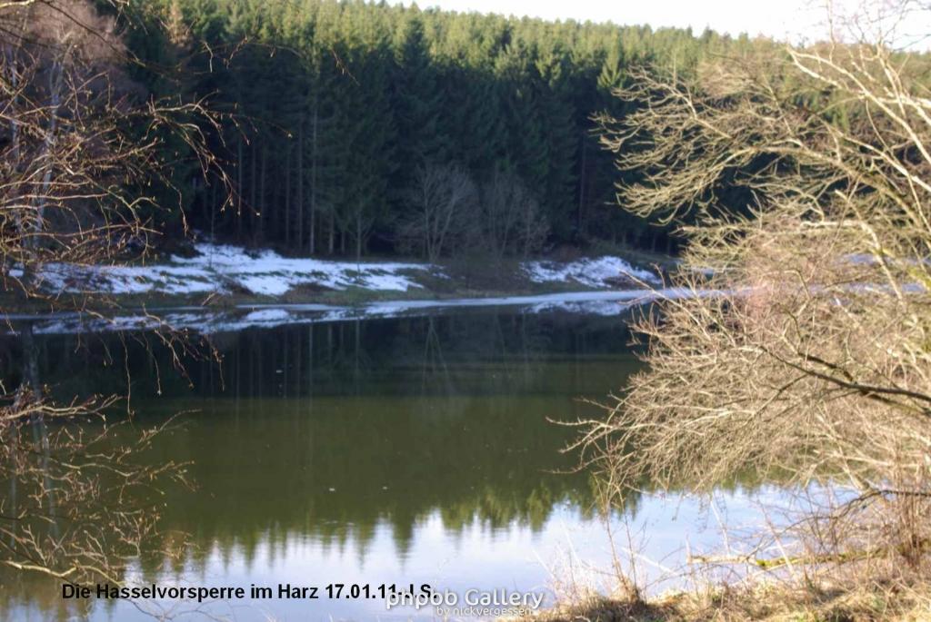 17.01.11 An der Hasselbachsperre-Harz-J.S. (23)