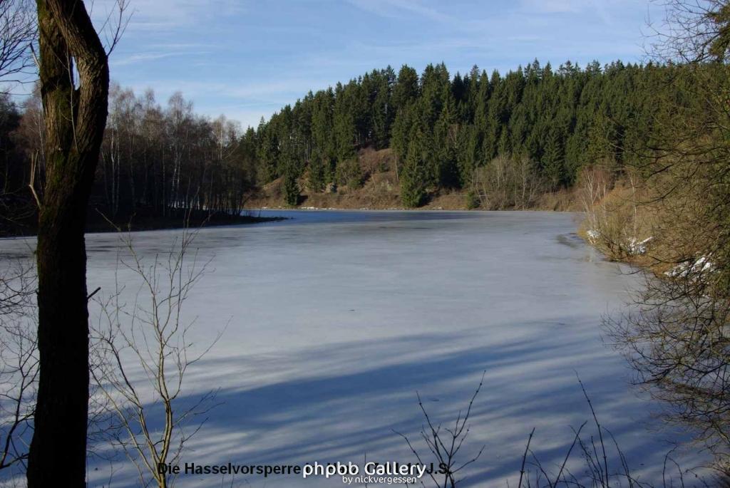 17.01.11 An der Hasselbachsperre-Harz-J.S. (25)