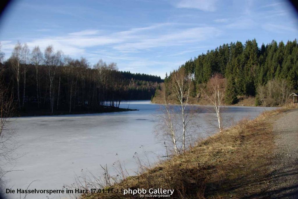 17.01.11 An der Hasselbachsperre-Harz-J.S. (26)