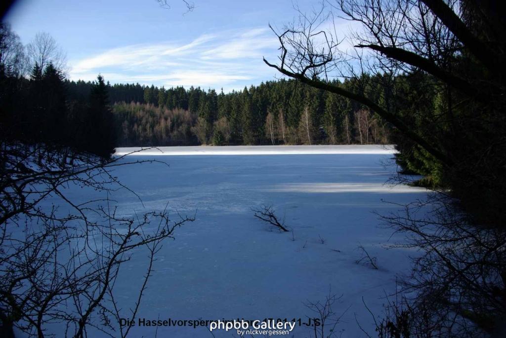 17.01.11 An der Hasselbachsperre-Harz-J.S. (27)