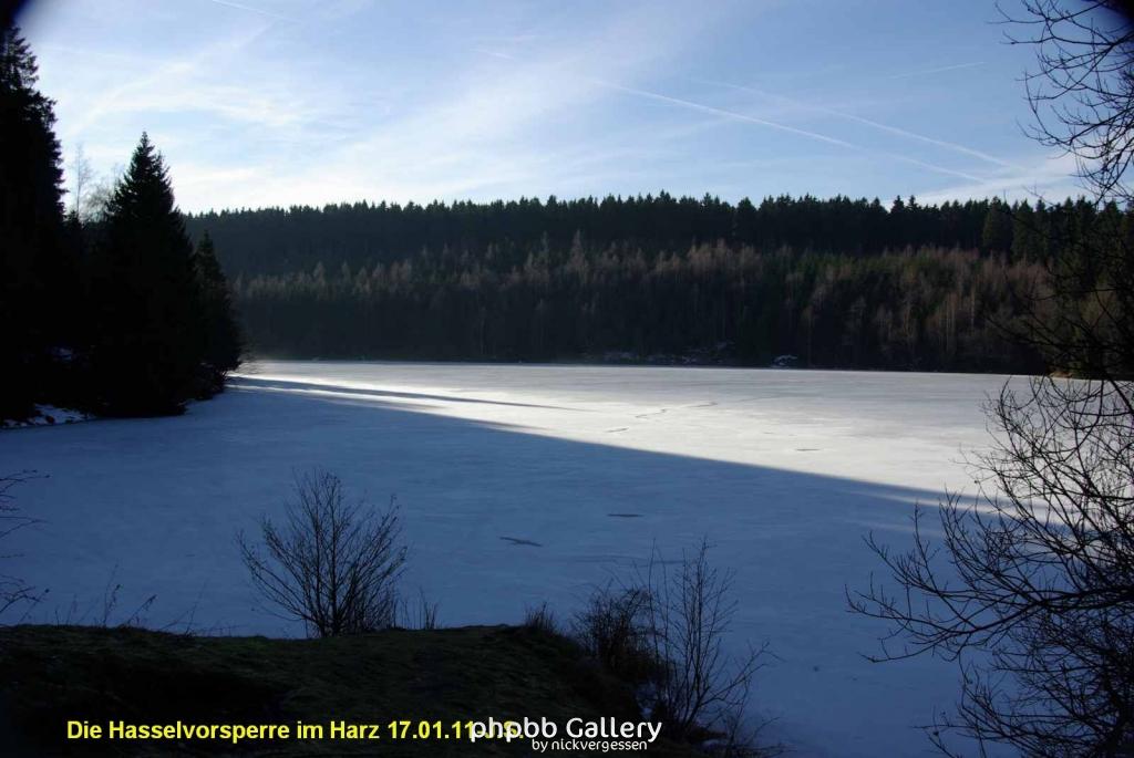 17.01.11 An der Hasselbachsperre-Harz-J.S. (28)