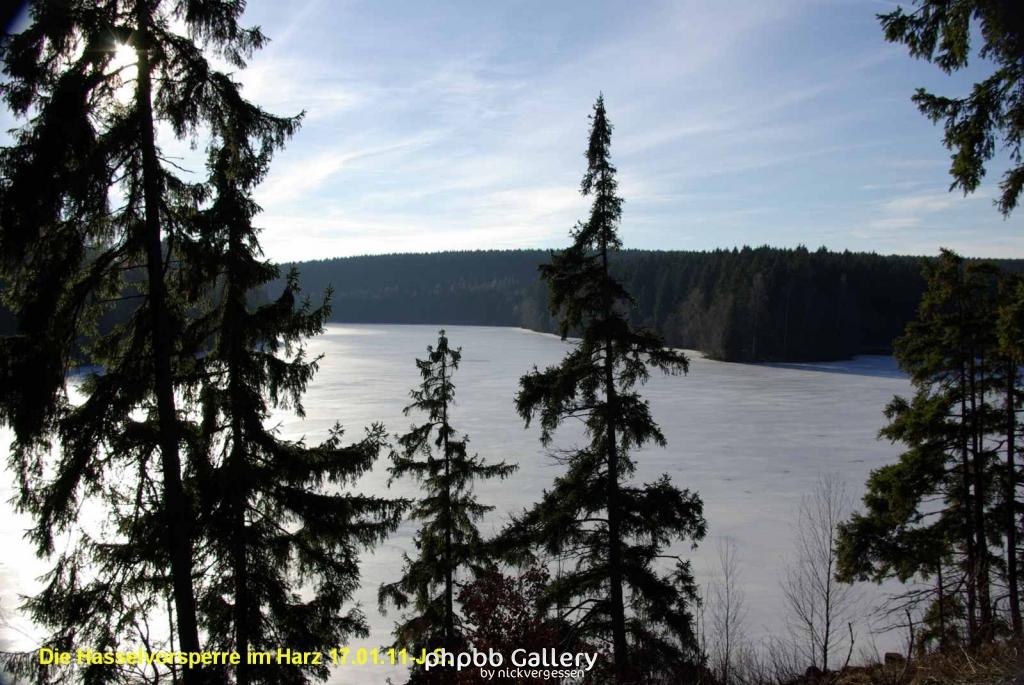 17.01.11 An der Hasselbachsperre-Harz-J.S. (31)