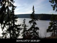 17.01.11 An der Hasselbachsperre-Harz-J.S. (32)
