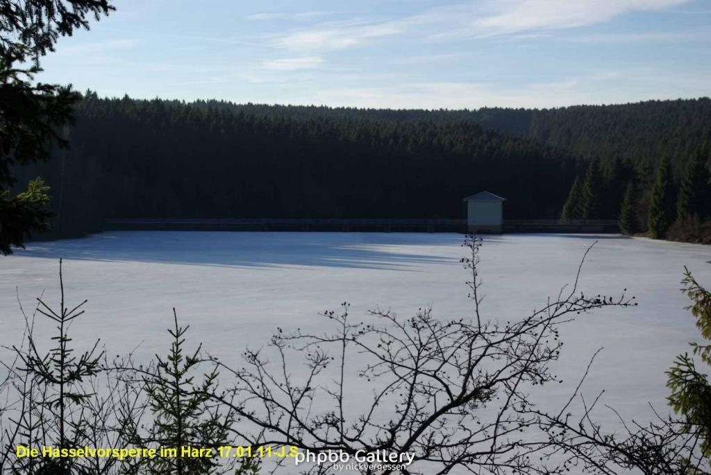 17.01.11 An der Hasselbachsperre-Harz-J.S. (33)