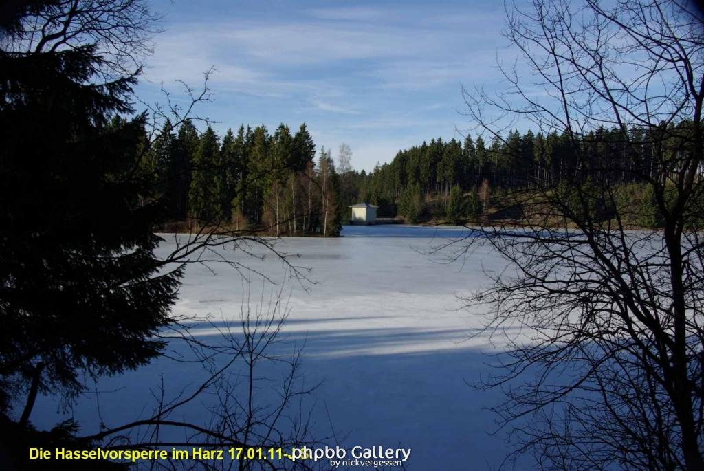 17.01.11 An der Hasselbachsperre-Harz-J.S. (29)