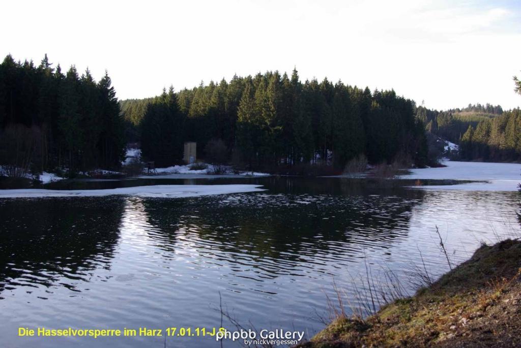 17.01.11 An der Hasselbachsperre-Harz-J.S. (36)