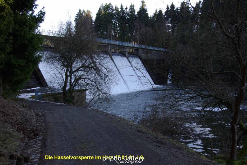 17.01.11 An der Hasselbachsperre-Harz-J.S. (38)