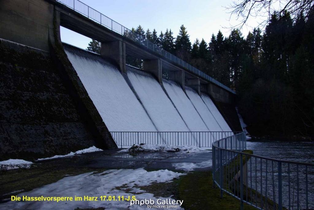 17.01.11 An der Hasselbachsperre-Harz-J.S. (39)