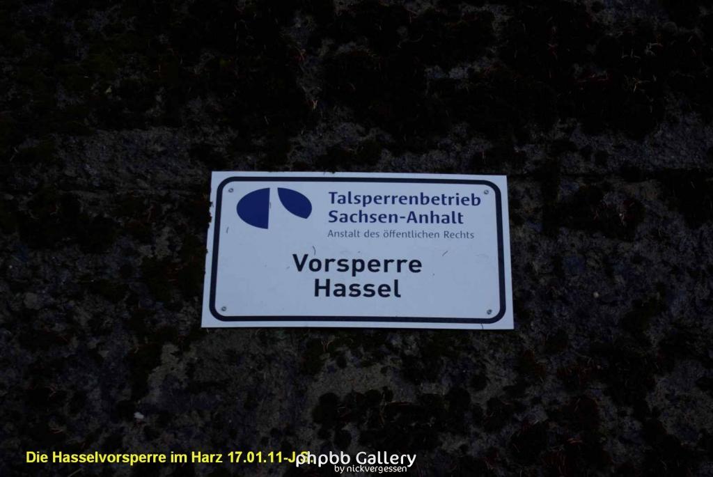 17.01.11 An der Hasselbachsperre-Harz-J.S. (40)