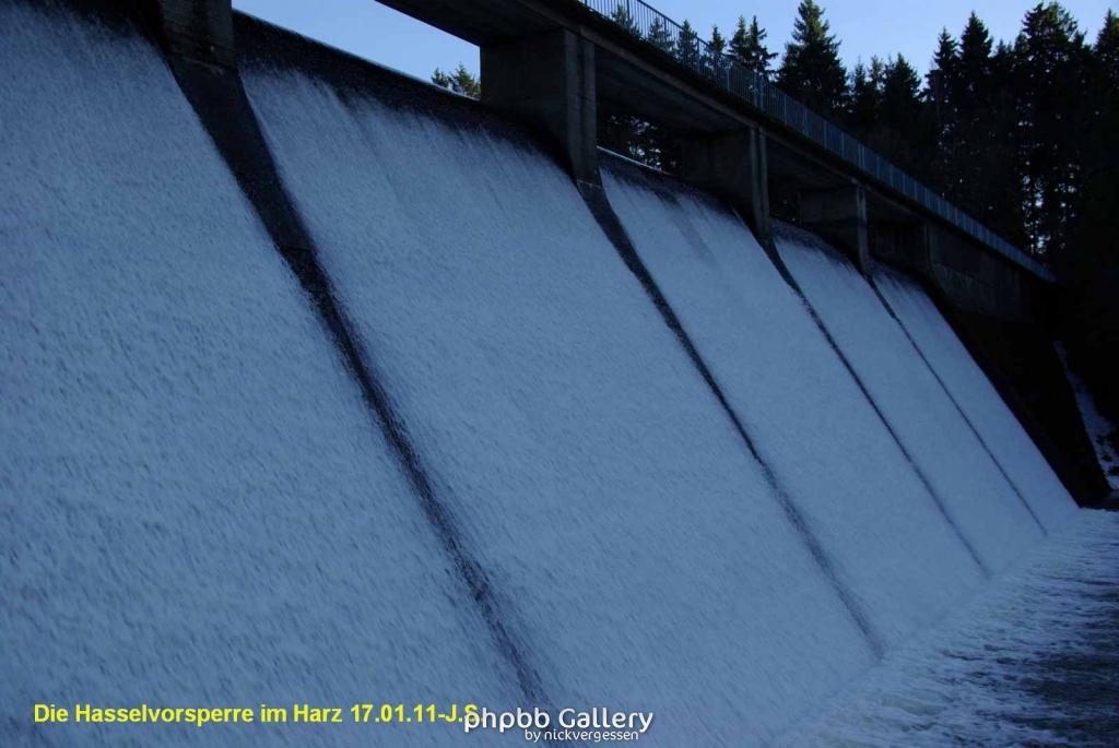 17.01.11 An der Hasselbachsperre-Harz-J.S. (41)