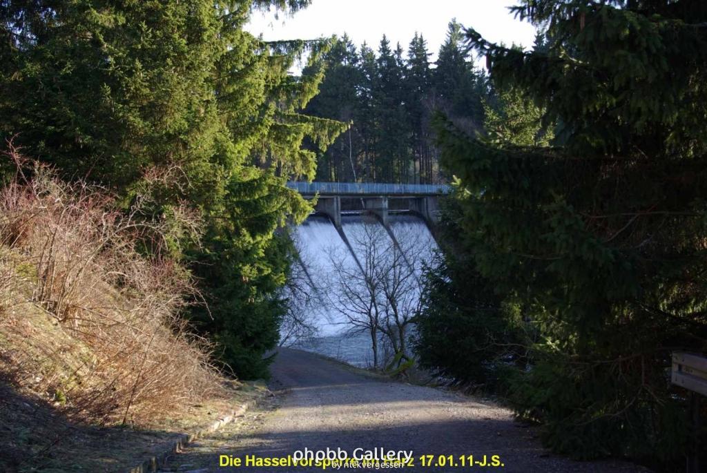 17.01.11 An der Hasselbachsperre-Harz-J.S. (43)