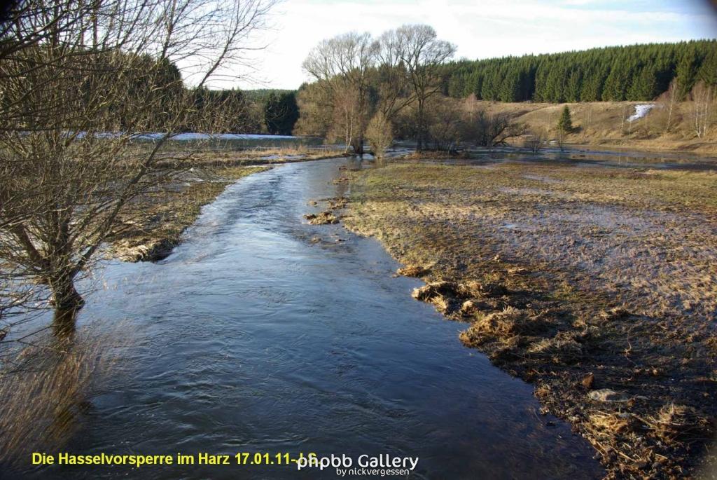 17.01.11 An der Hasselbachsperre-Harz-J.S. (56)