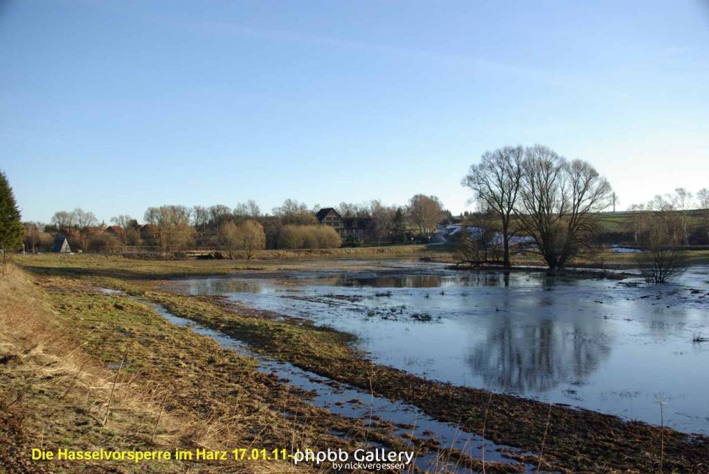 17.01.11 An der Hasselbachsperre-Harz-J.S. (55)