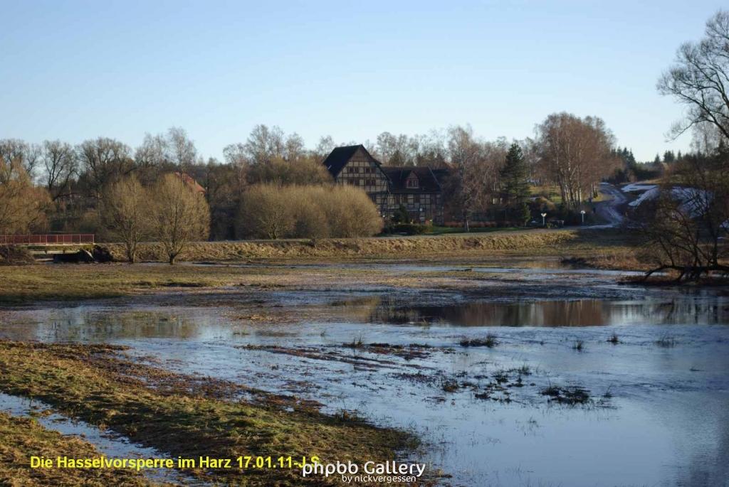 17.01.11 An der Hasselbachsperre-Harz-J.S. (54)
