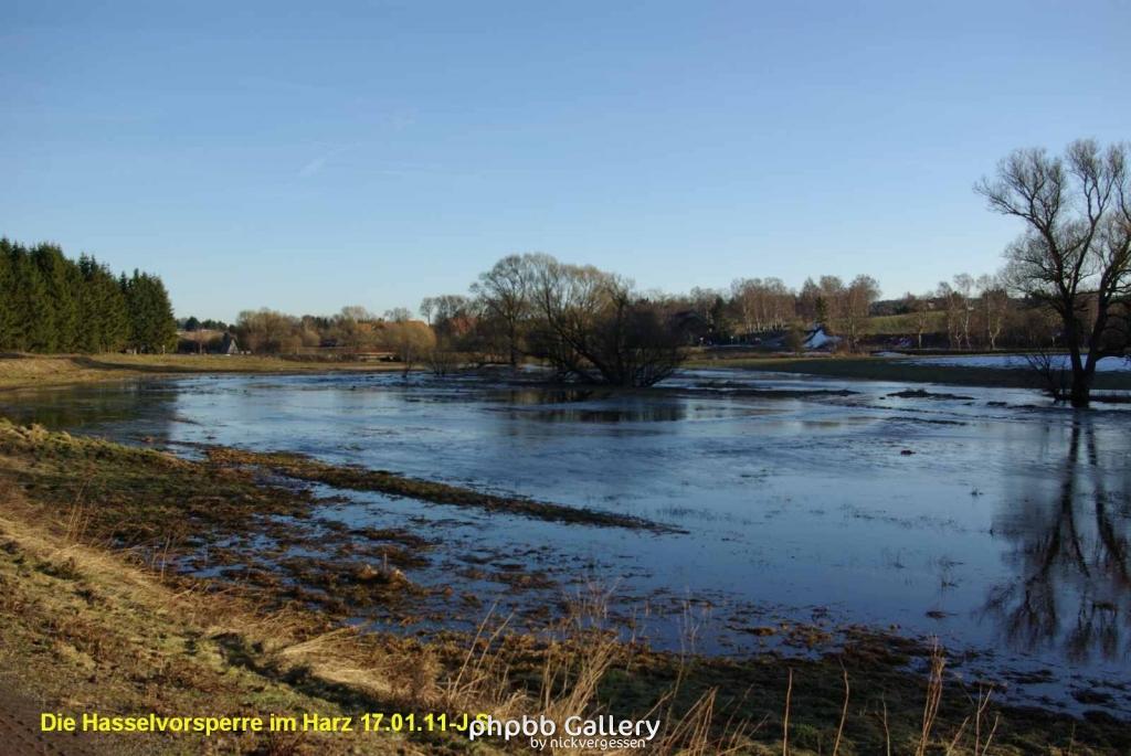 17.01.11 An der Hasselbachsperre-Harz-J.S. (53)