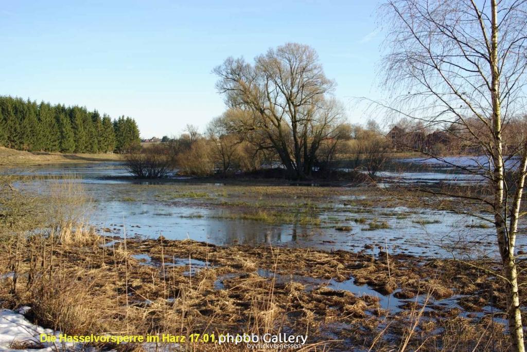 17.01.11 An der Hasselbachsperre-Harz-J.S. (52)