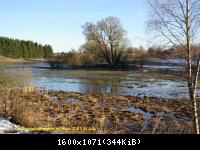 17.01.11 An der Hasselbachsperre-Harz-J.S. (52)