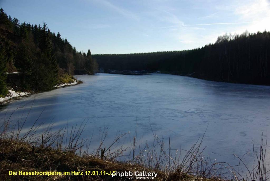 17.01.11 An der Hasselbachsperre-Harz-J.S. (51)