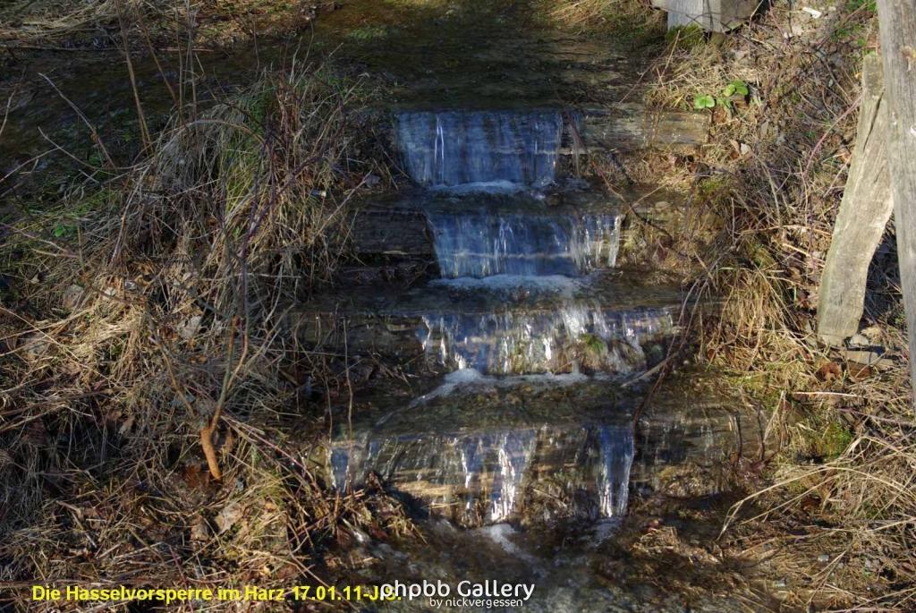 17.01.11 An der Hasselbachsperre-Harz-J.S. (50)