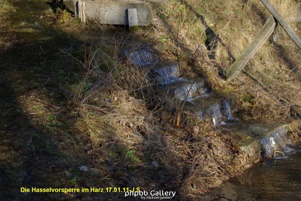 17.01.11 An der Hasselbachsperre-Harz-J.S. (49)