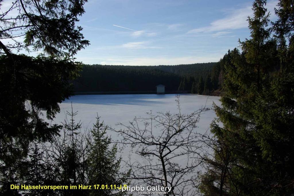 17.01.11 An der Hasselbachsperre-Harz-J.S. (48)