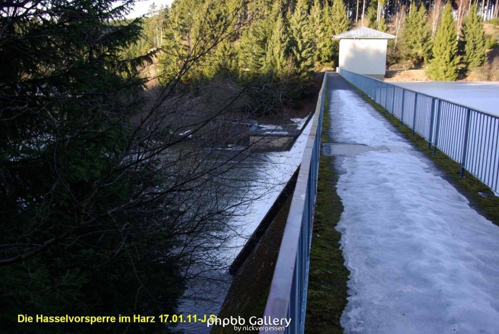 17.01.11 An der Hasselbachsperre-Harz-J.S. (46)
