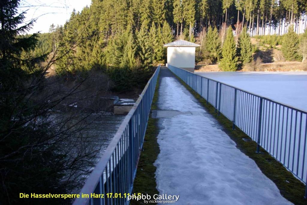 17.01.11 An der Hasselbachsperre-Harz-J.S. (45)
