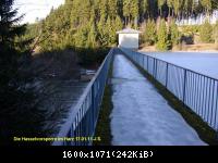 17.01.11 An der Hasselbachsperre-Harz-J.S. (45)