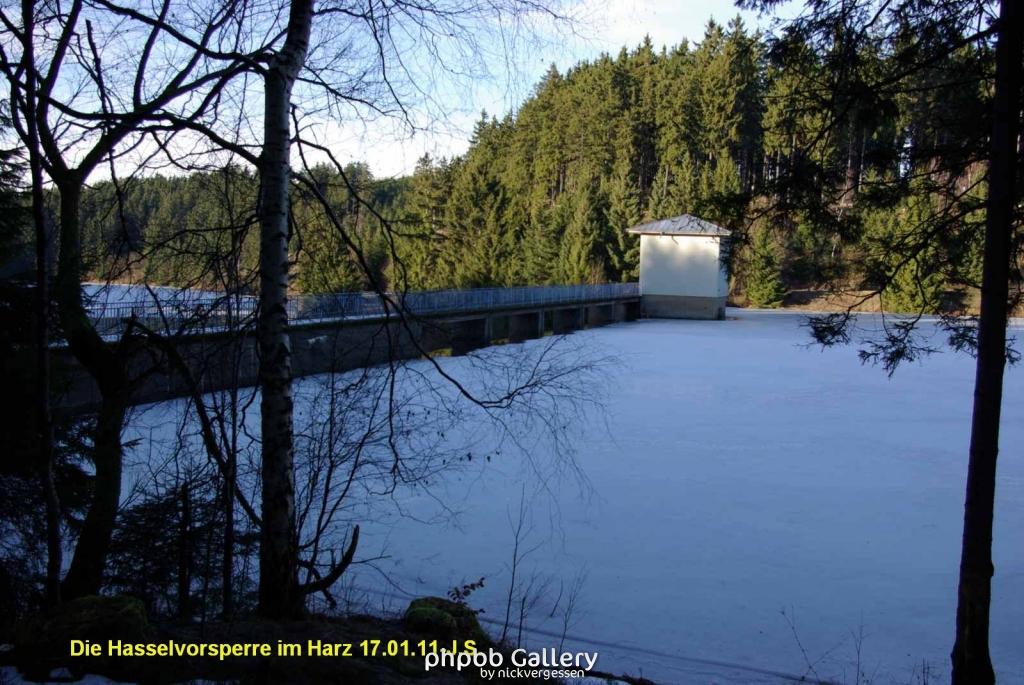 17.01.11 An der Hasselbachsperre-Harz-J.S. (44)