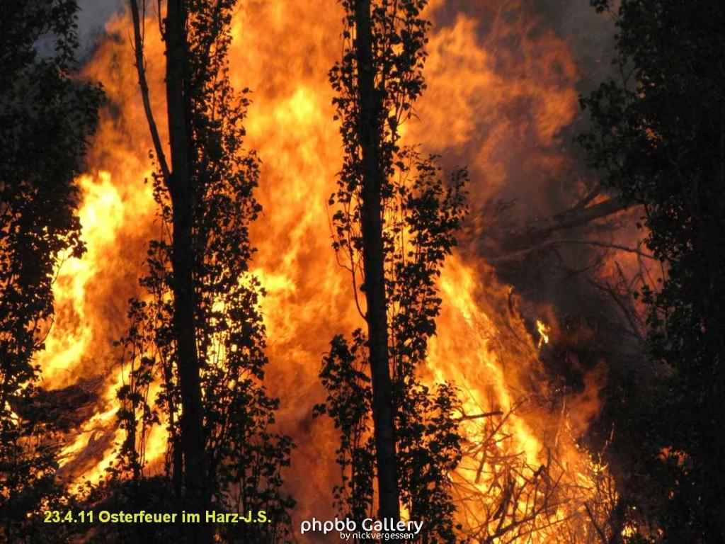 Osterfeuer im Harz 23.4 (2)