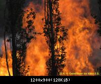 Osterfeuer im Harz 23.4 (4)