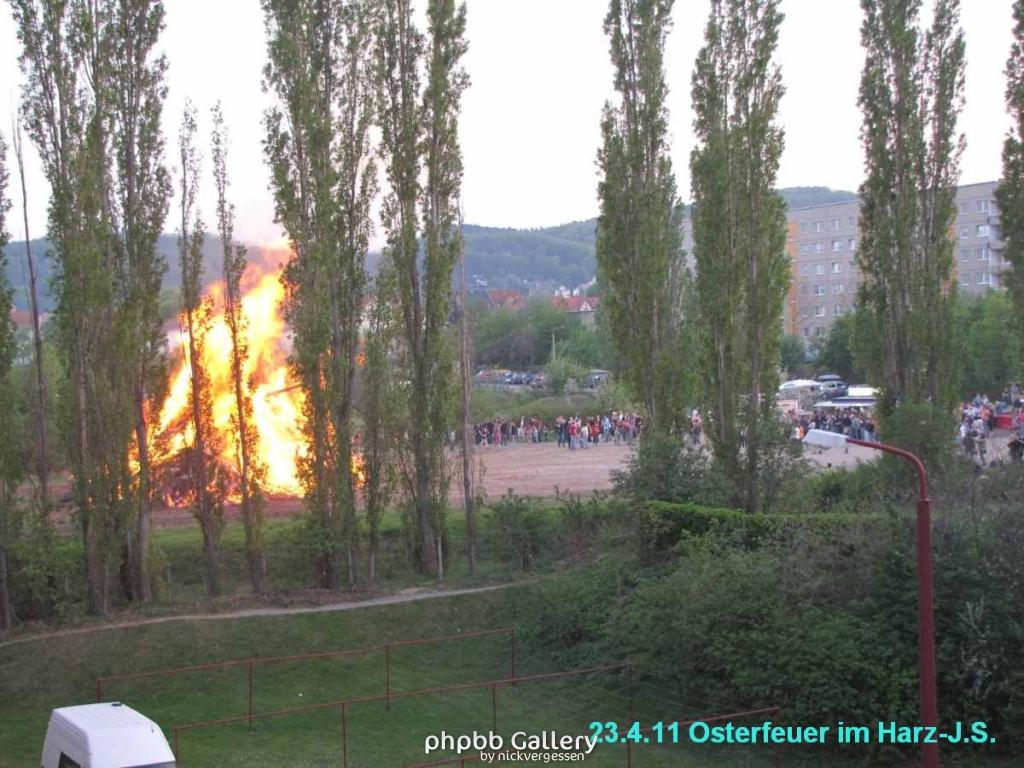 Osterfeuer im Harz 23.4 (6)