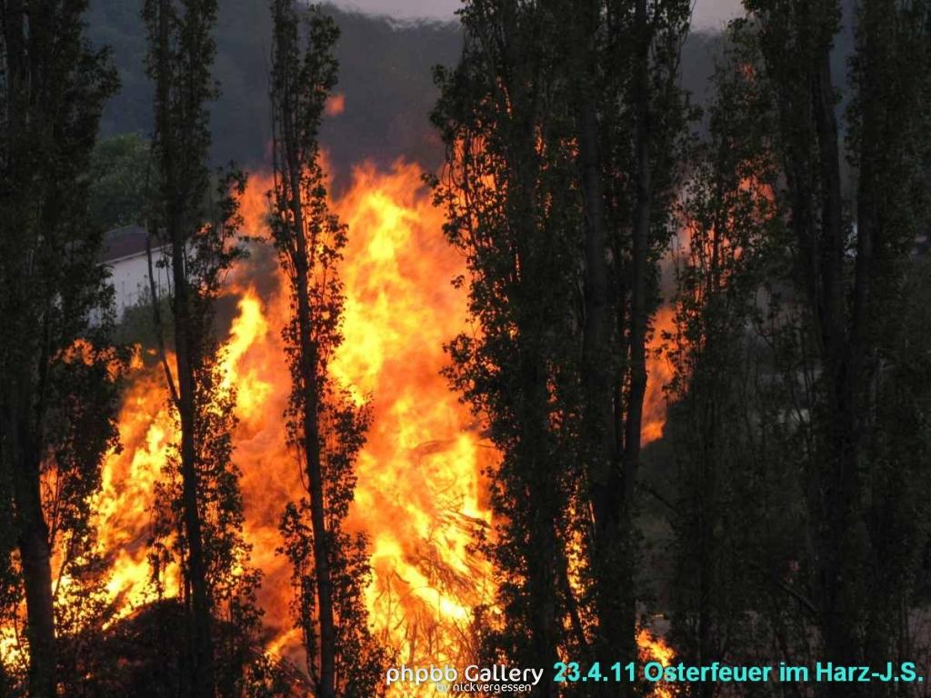 Osterfeuer im Harz 23.4 (7)